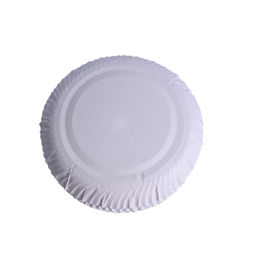 white back paper plate